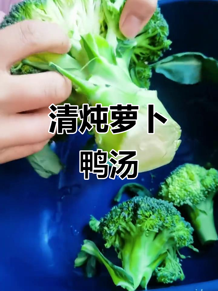 冬季暖心鸭汤,简单又营养,家常做法大公开