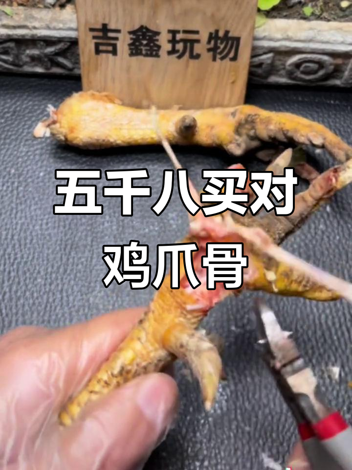 农村收鸡爪骨,五千八搞定一对文玩宝贝