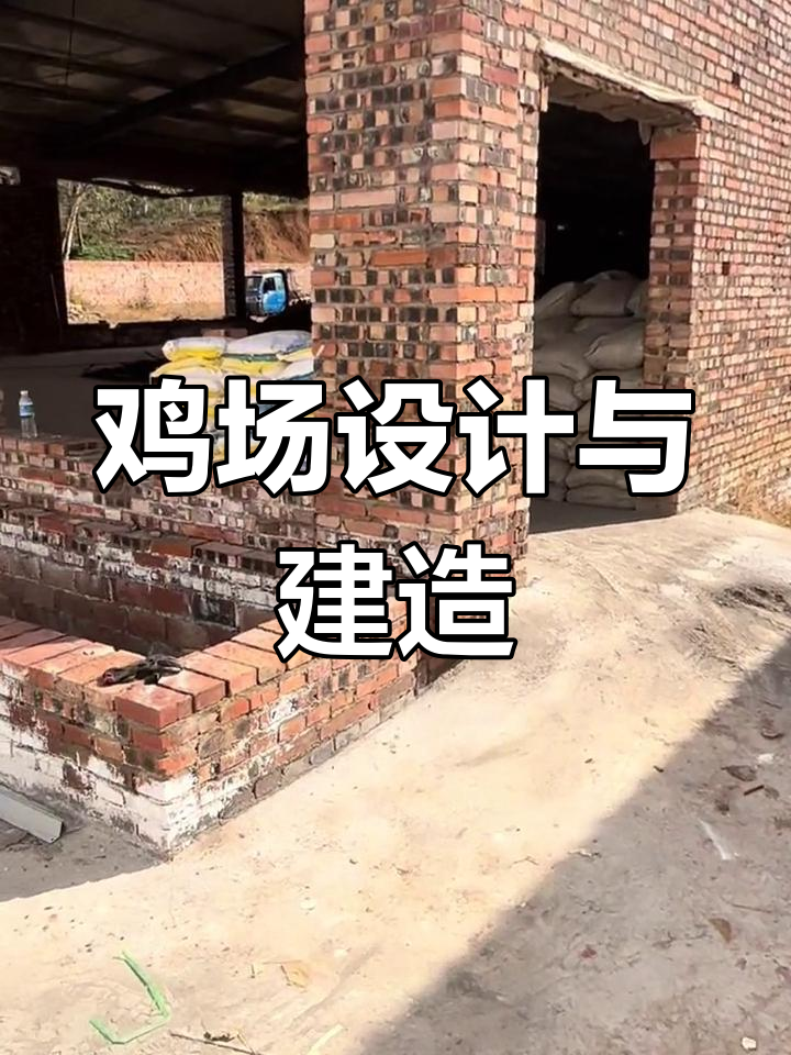 现代化鸡场建设与设计指南:水帘与倒流板设计,两栋鸡舍间距要求