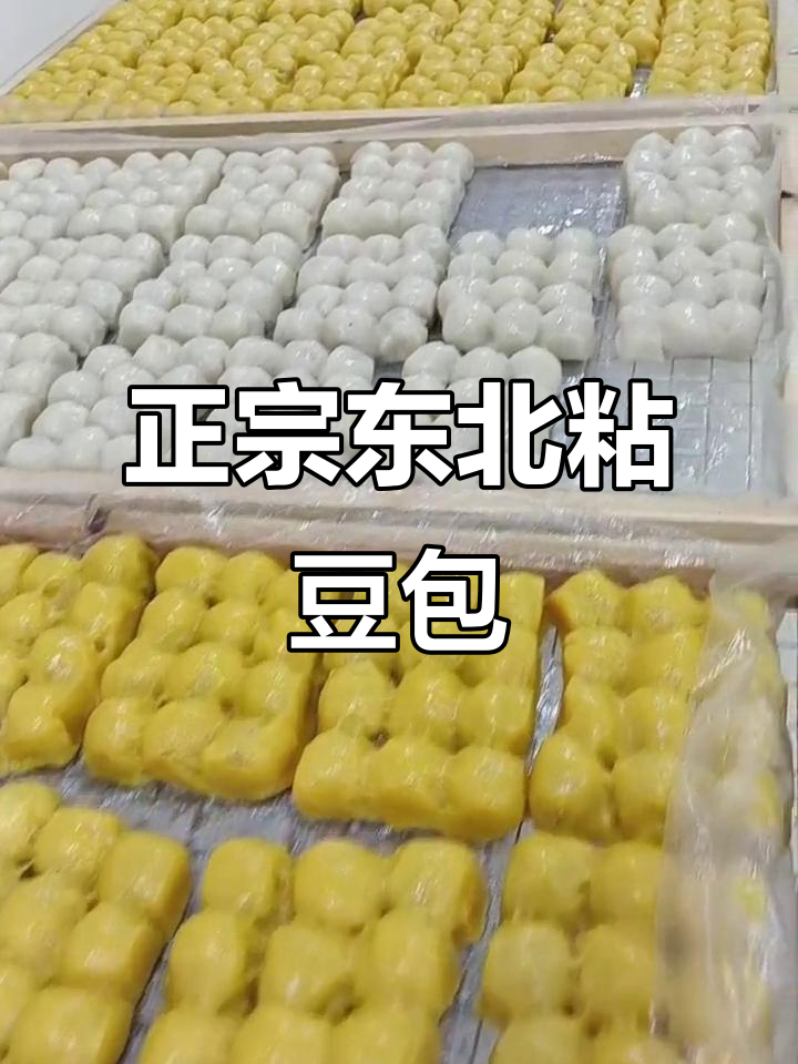 东北传统粘豆包,手工制作黄米大茶面,馅料紧实不散