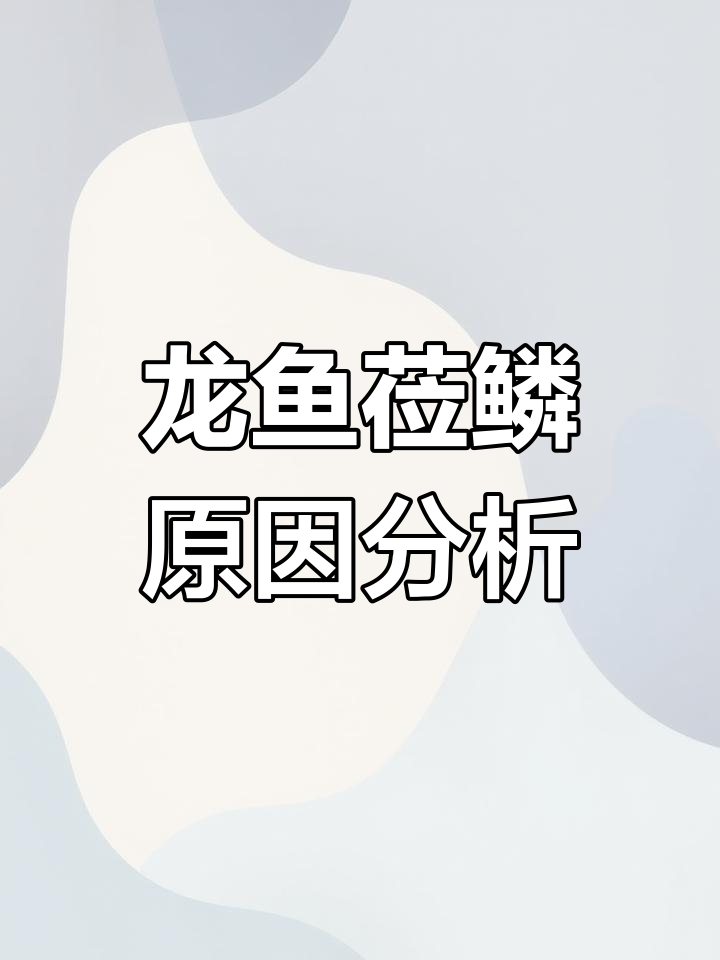 龙鱼鳞片问题大揭秘:细菌感染与水质震荡的影响