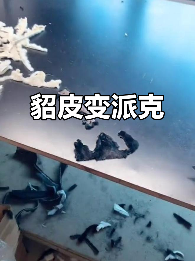 貂皮不再拼,派克服内胆成新宠