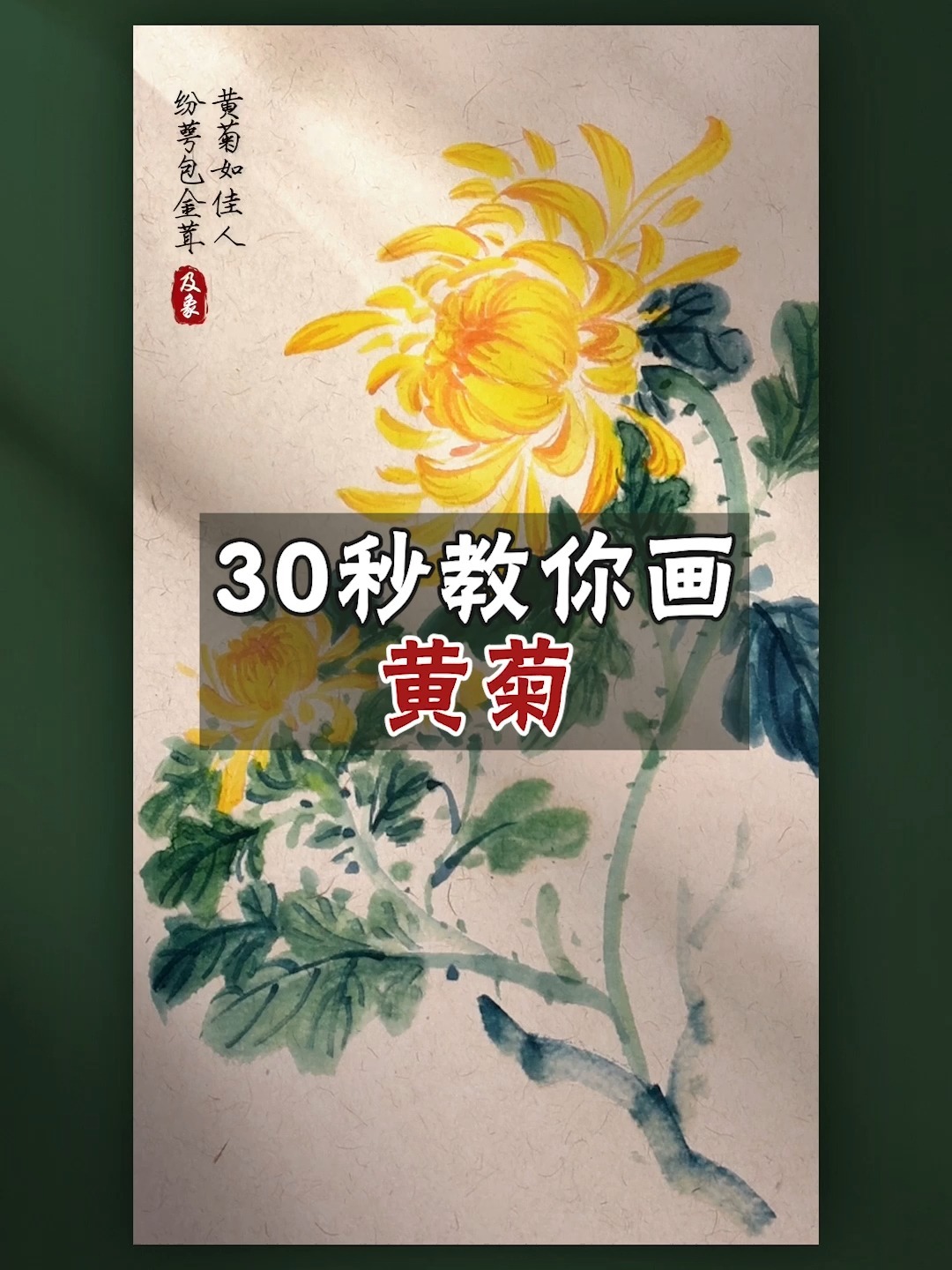 国画教程——写意菊花