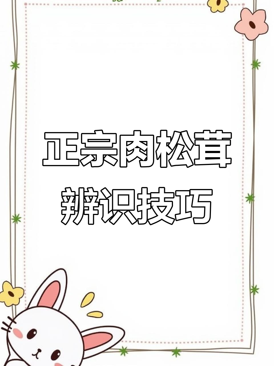 如何辨别正宗荒漠肉苁蓉?鳞片、断面和口感全揭秘