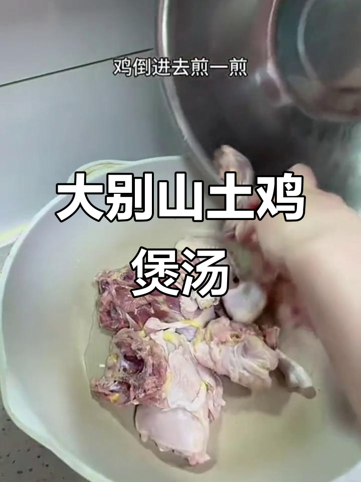 炖正宗大别山土鸡,鸡汤香气扑鼻,肉质鲜美无比