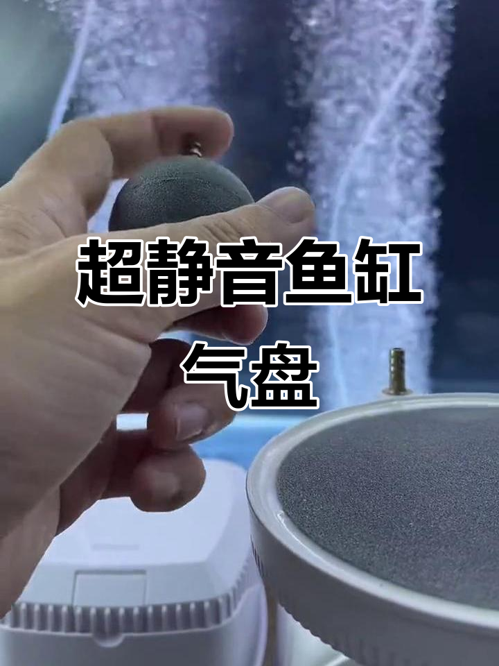 鱼缸气盘噪音解析:如何降低增氧泵的声响