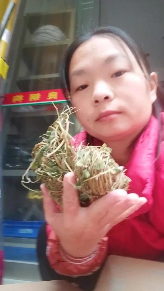 野生鸡骨草来了,经常抽烟喝酒熬夜的多喝点