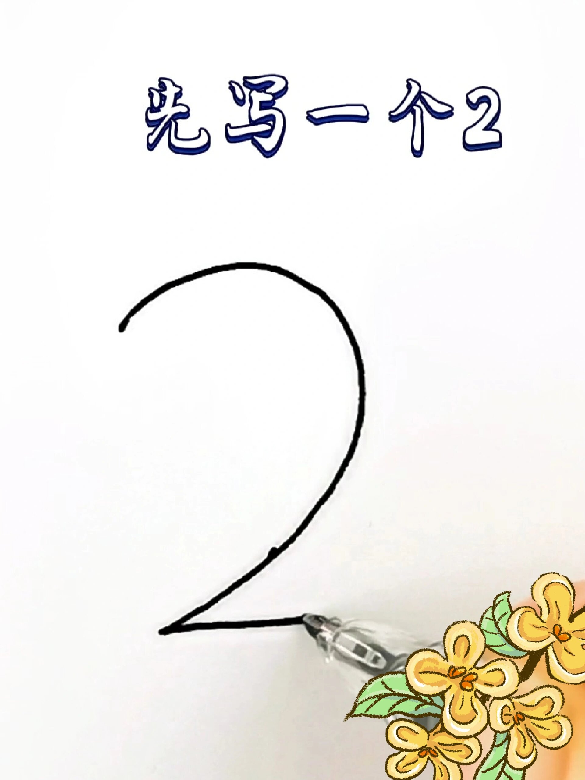 会写数字2就会画的白天鹅,一看就会
