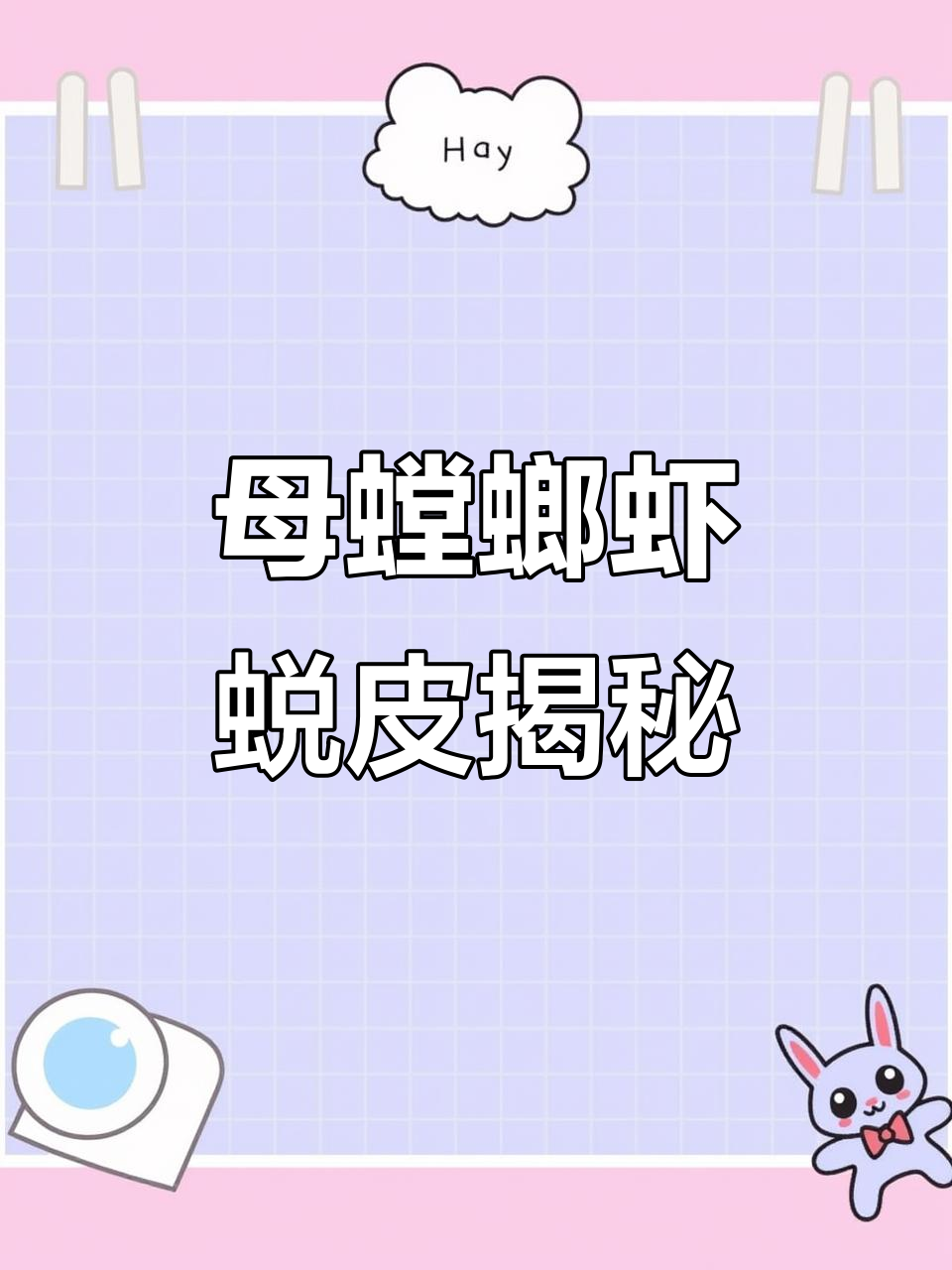 母螳螂虾蜕壳重生，锤子退下来竟然是这样！