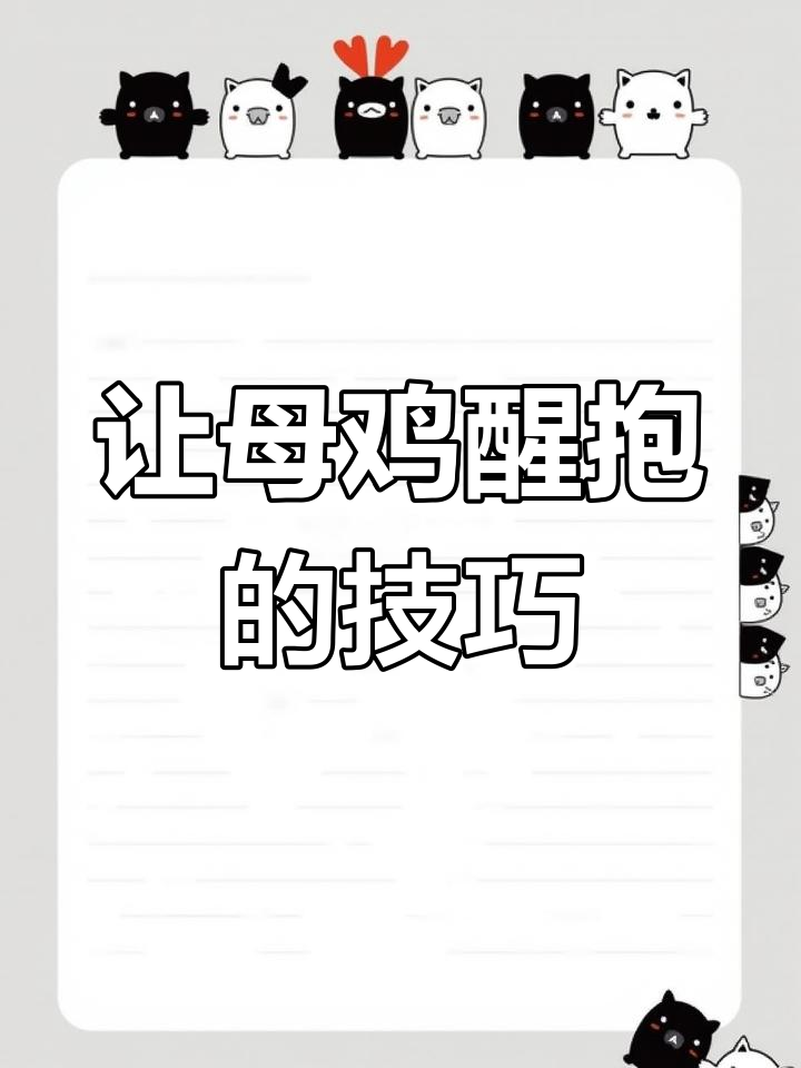母鸡抱窝怎么办?三种快速唤醒方法