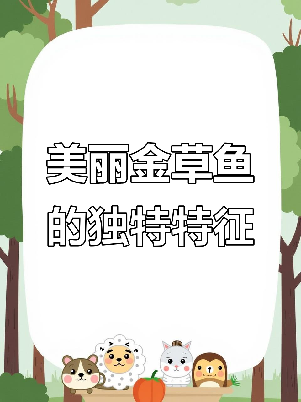 金草鱼:俄罗斯美肤般的金色魅力,鳍长如圆筒形