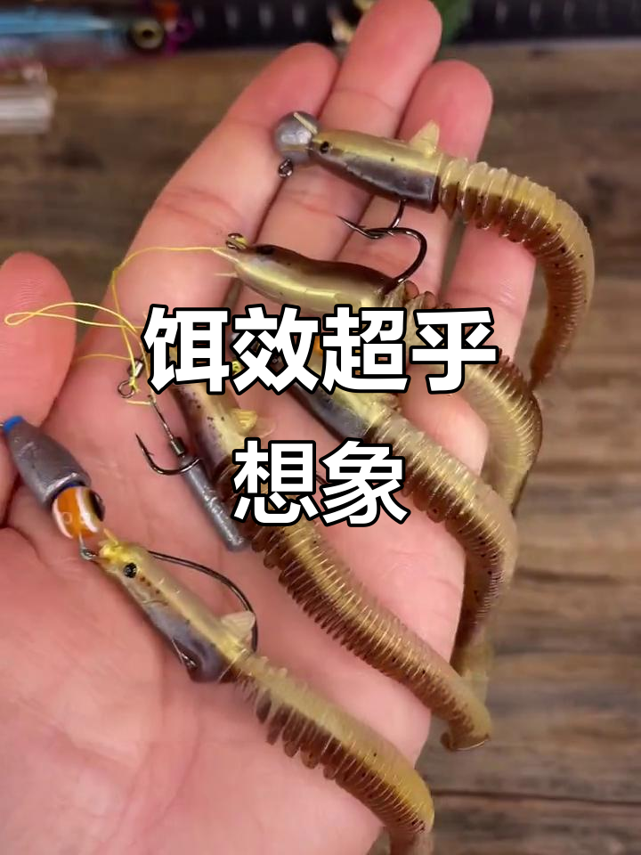 龙鳅饵效果惊人,连泥鳅党都来借!