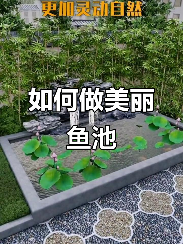 打造完美鱼池，避免这些常见错误