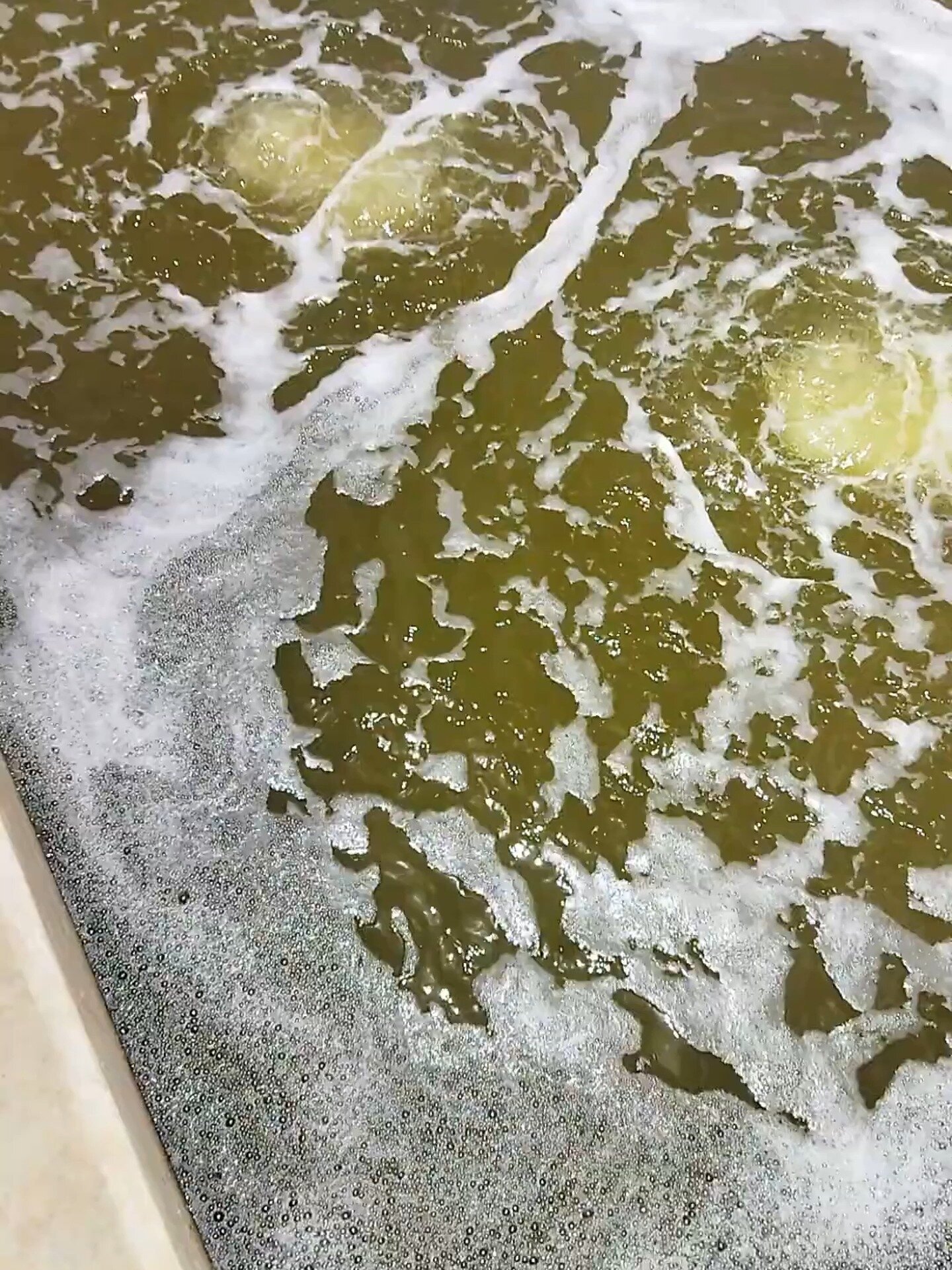 这个水泥养虾模式,1立方米产量最高达30斤