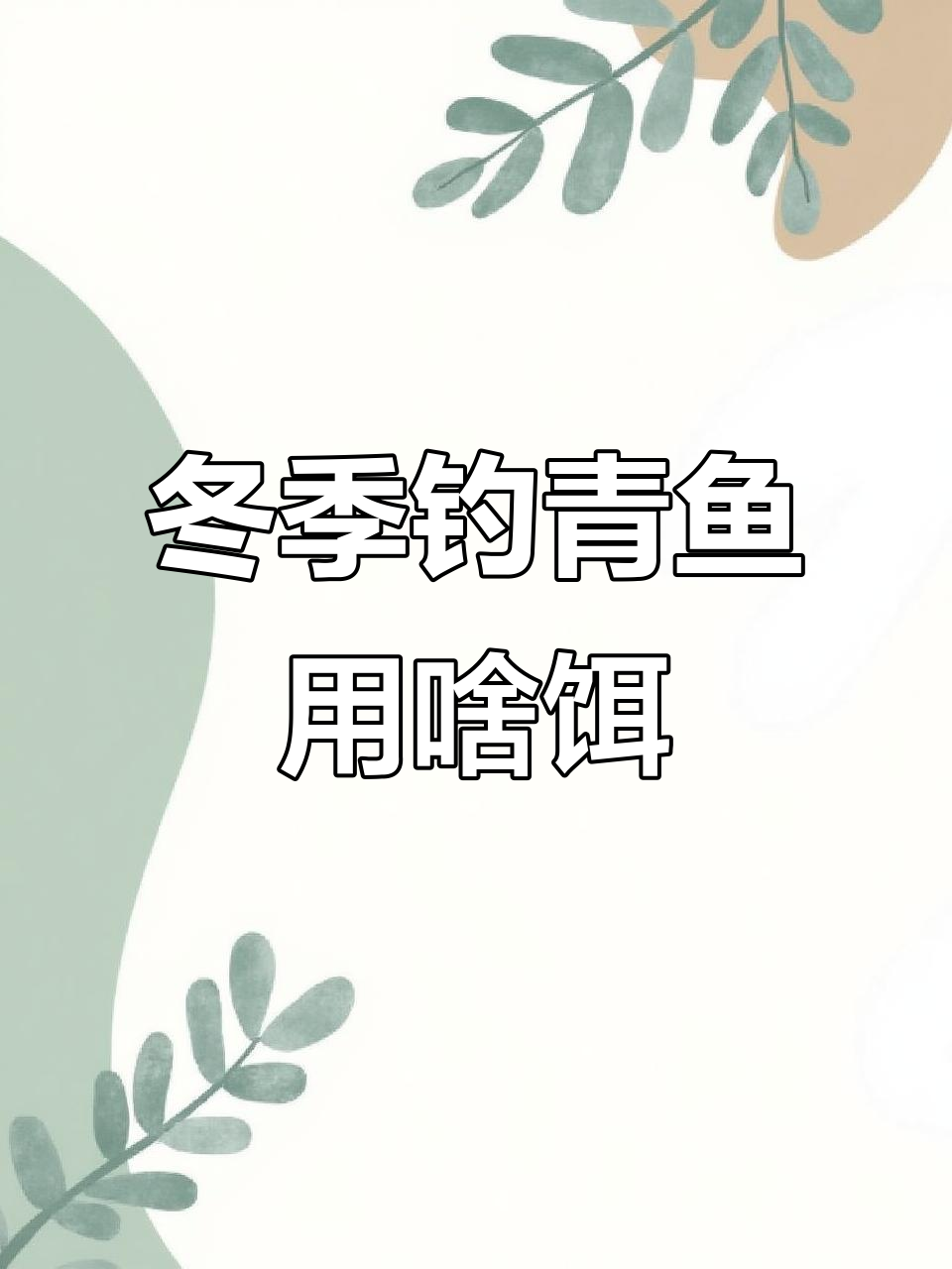 冬季南方钓青鱼必备饵料,气温不同选哪种?