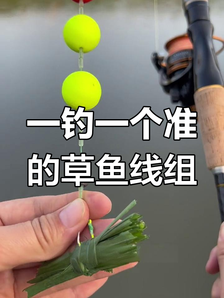 新型浮钓草鱼线组,轻松抛投水库中央,夜钓也能精准捕捉