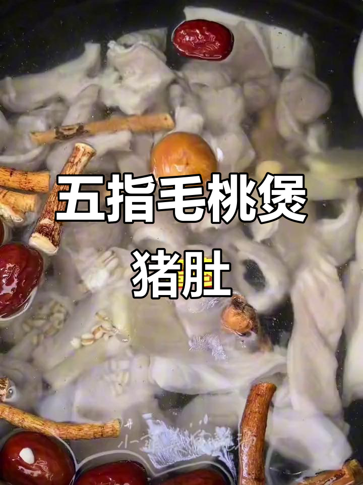 五指毛桃猪肚汤,滋补养生广东靓汤
