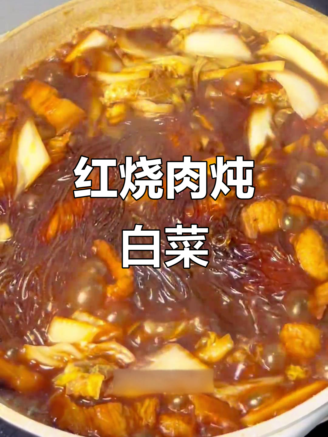 红烧肉炖粉条,白菜配米饭,香气扑鼻!