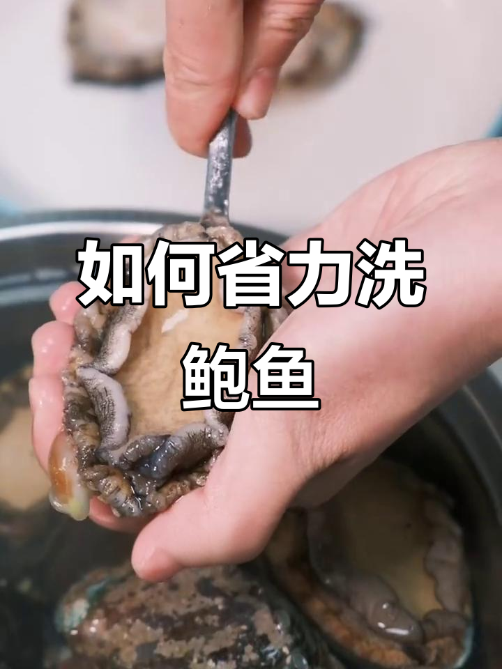 快速清洗鲍鱼，轻松去内脏