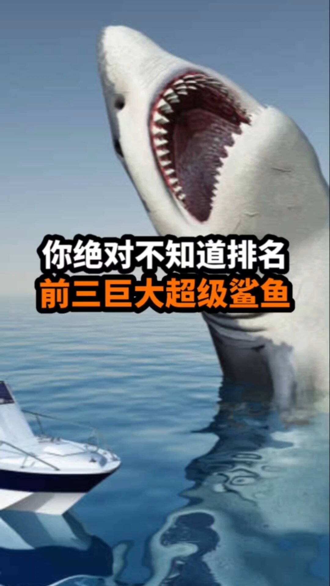 你绝对不知道排名前三的巨大超级鲨鱼是它
