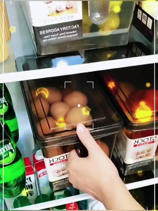 「5升特大号5个装」冰箱收纳盒厨房水果手柄保鲜盒大容量鸡蛋盒子 家用保鲜盒