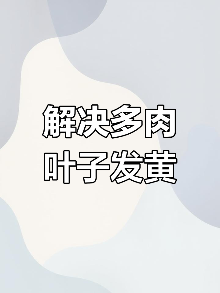 多肉植物养护常见问题解析:叶片变黄、发黑的原因及解决方法
