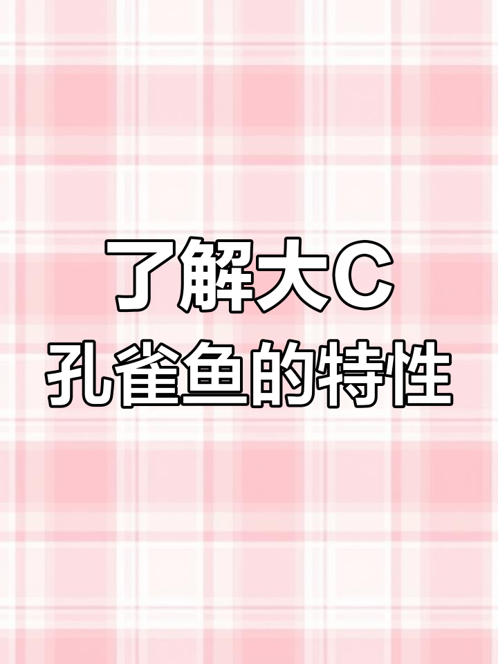 大C孔雀鱼公母区别揭秘,缎带与短弓的差异