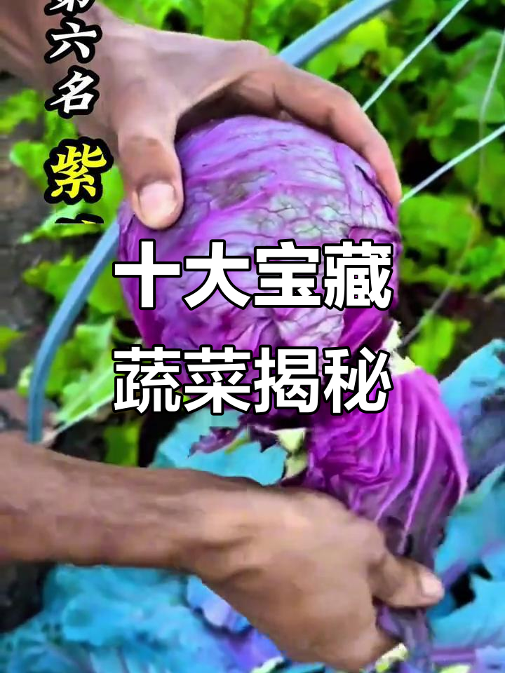 这些常见蔬菜竟然是最有营养的宝藏食物,快来了解一下