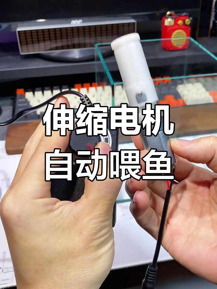 自动喂鱼器DIY制作,伸缩电机调速控制
