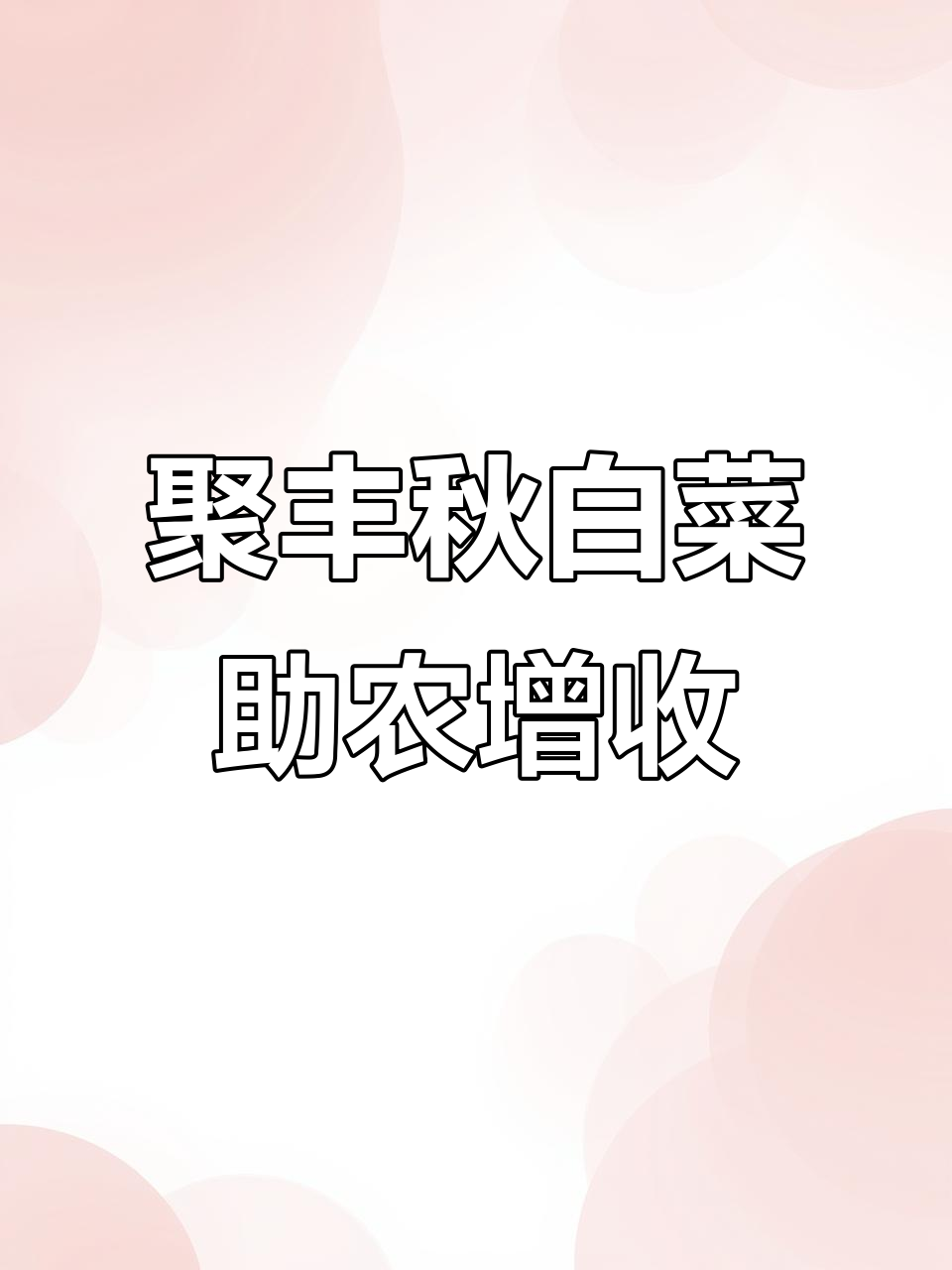 聚丰秋白菜助力农民增产,服务农业更高效