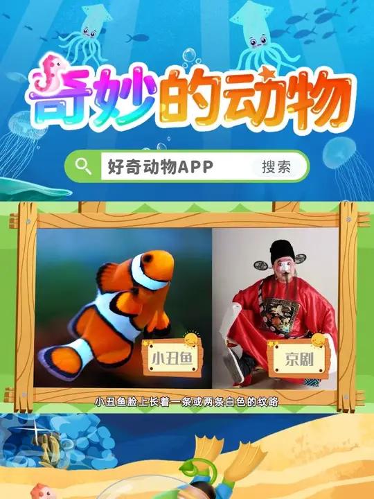 小丑鱼是如何隐藏在海葵里的