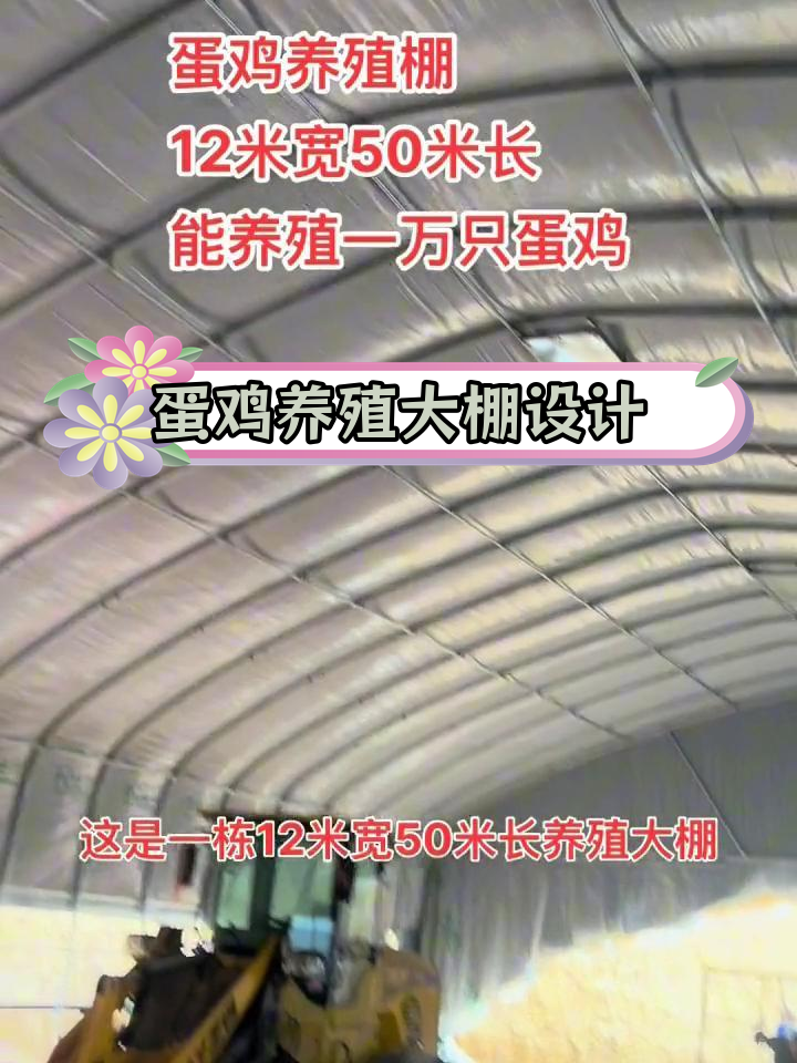 12米宽50米长蛋鸡养殖大棚设计参考