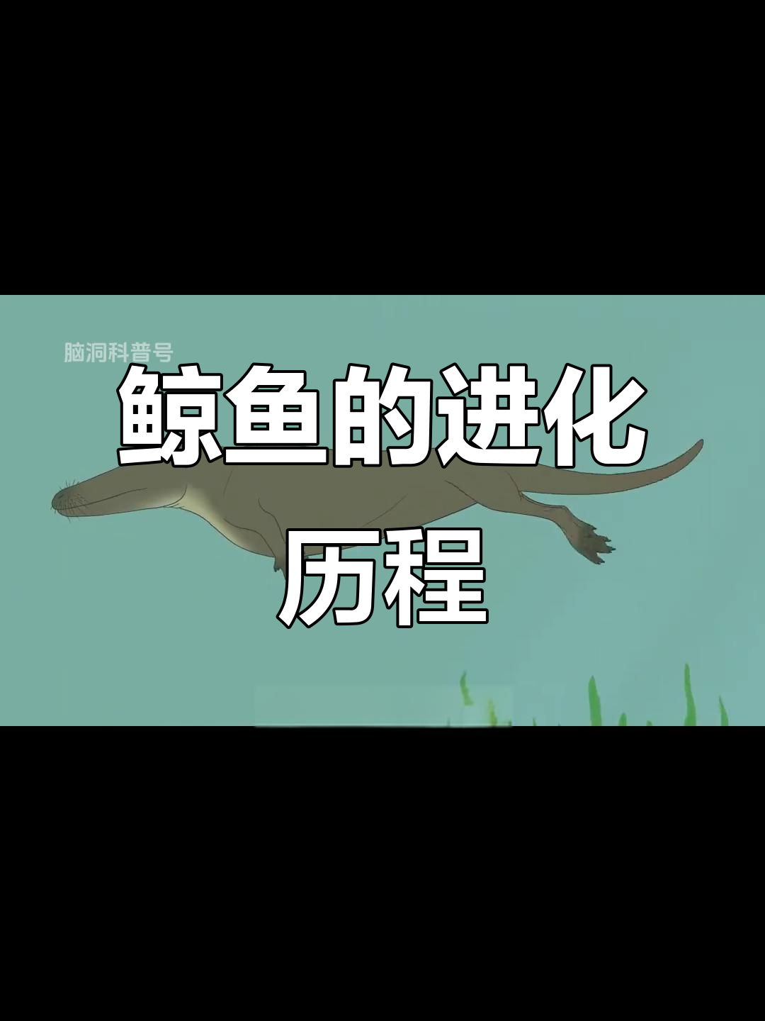 鲸鱼如何从狗大小进化成海洋巨兽?揭秘蓝鲸的起源
