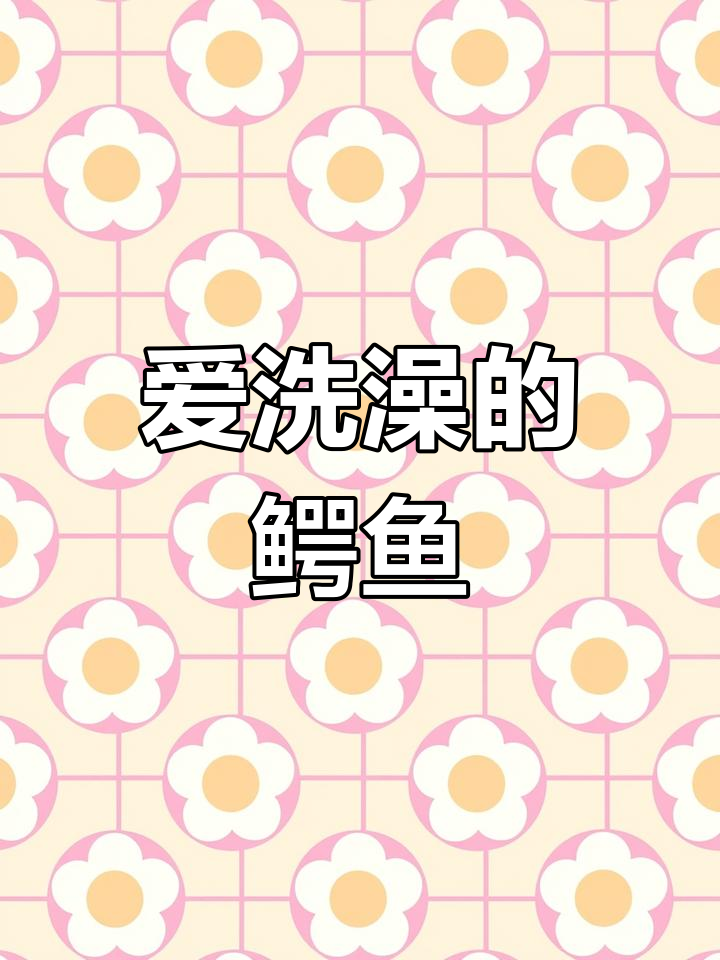 鳄鱼小顽皮爱洗澡:挑战第16-20关