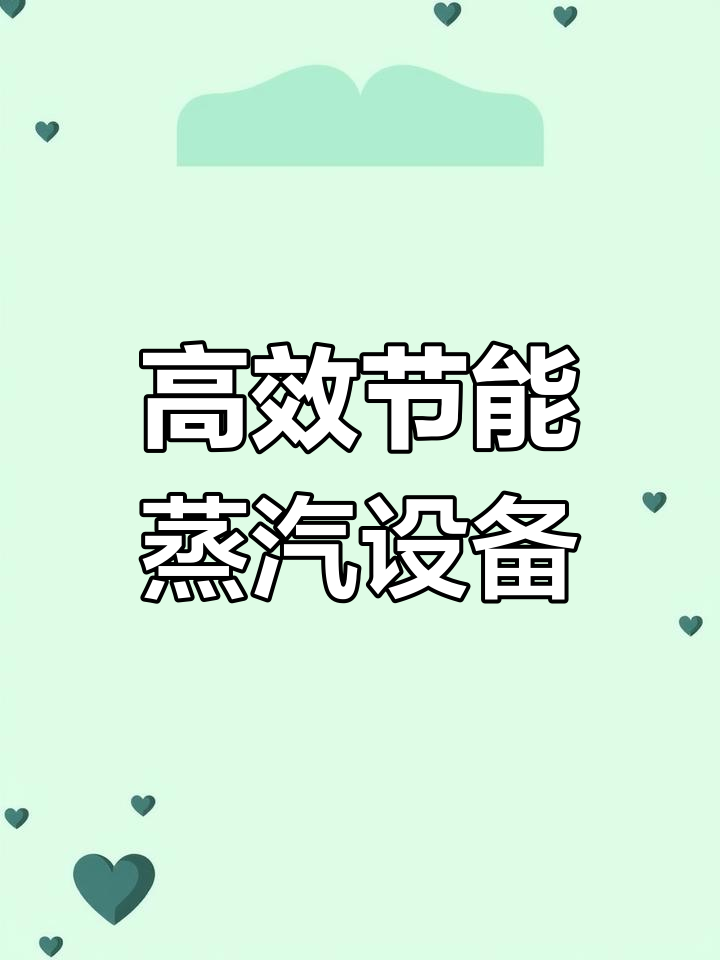 帕莱顿节能蒸汽发生器,助力环保事业