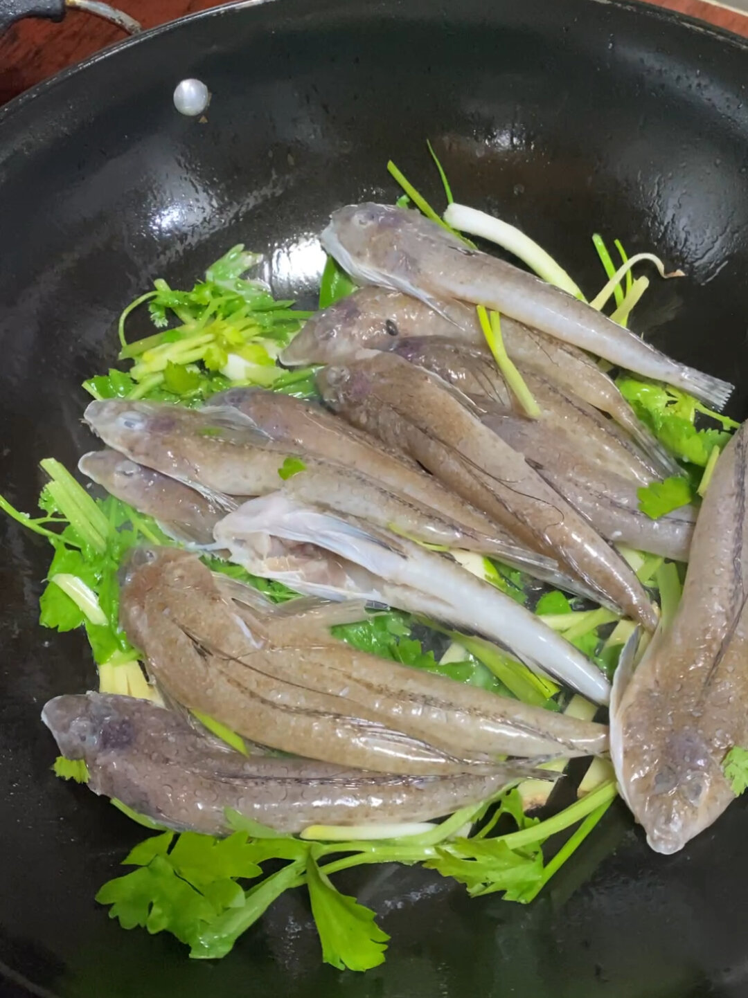 潮汕鲜鱼之鸡腿鱼第二次拍摄