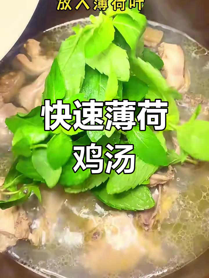 20分钟搞定薄荷鸡汤,简单又上头