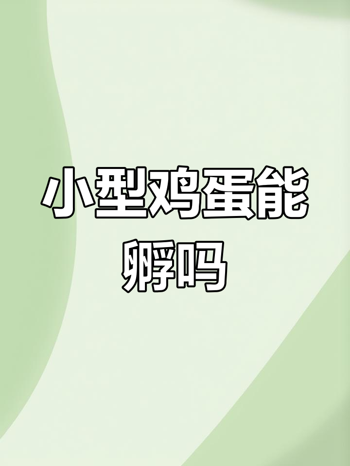 家庭孵化器如何应对小型蛋的挑战