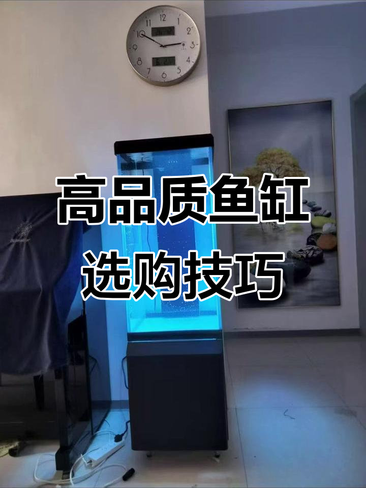 鱼缸选购指南:如何选择高性价比的家用玻璃鱼缸