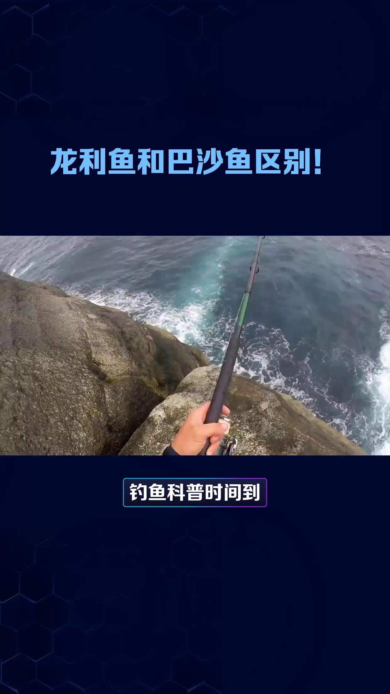 好多钓鱼人都不知道,龙利鱼和巴沙鱼的区别