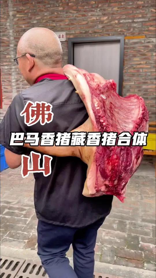 巴马香猪藏香猪合体 佛山三水｜工厂老板转行深山养大猪，客人吃完还要打包新鲜猪肉回家，还真能