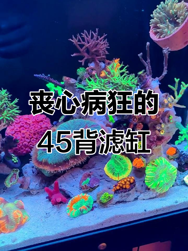 45背滤缸的疯狂改造,别轻易模仿!