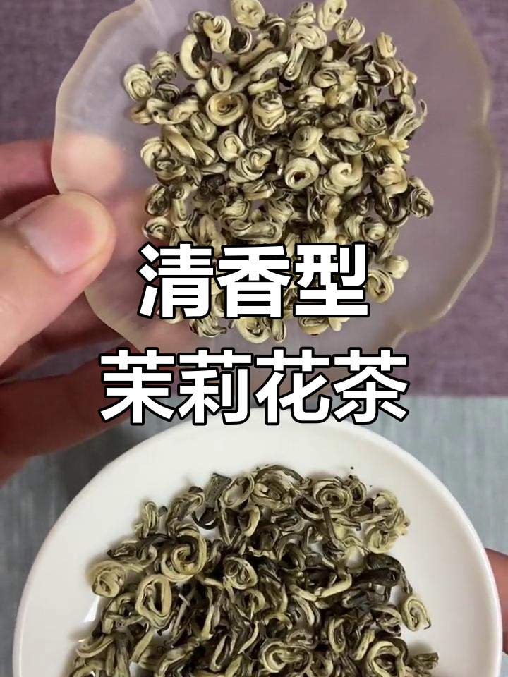 六窨茉莉香螺,清新回甘的口粮茶