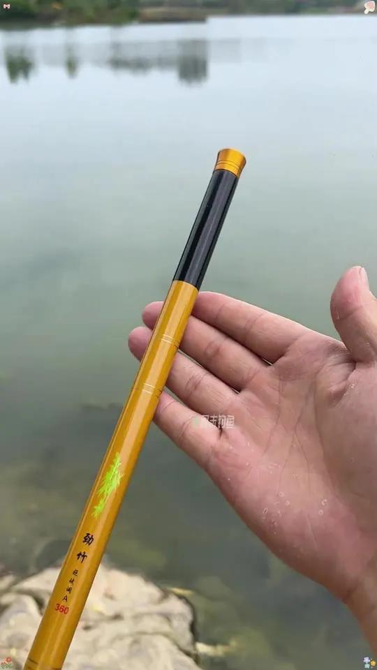 新买的短节鱼竿到货了看看怎么样