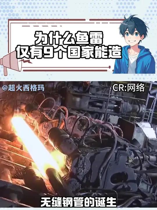 为什么鱼雷只有9个国家能造 鱼雷