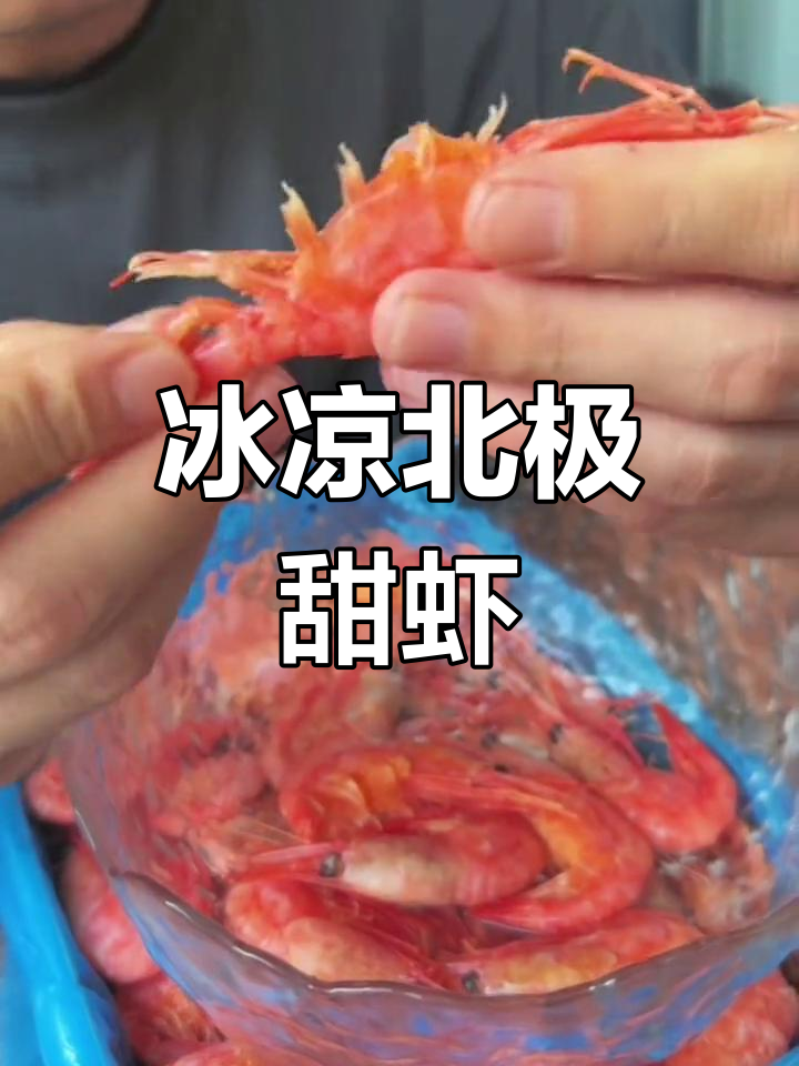 北极甜虾的正确吃法,冰凉口感超爽