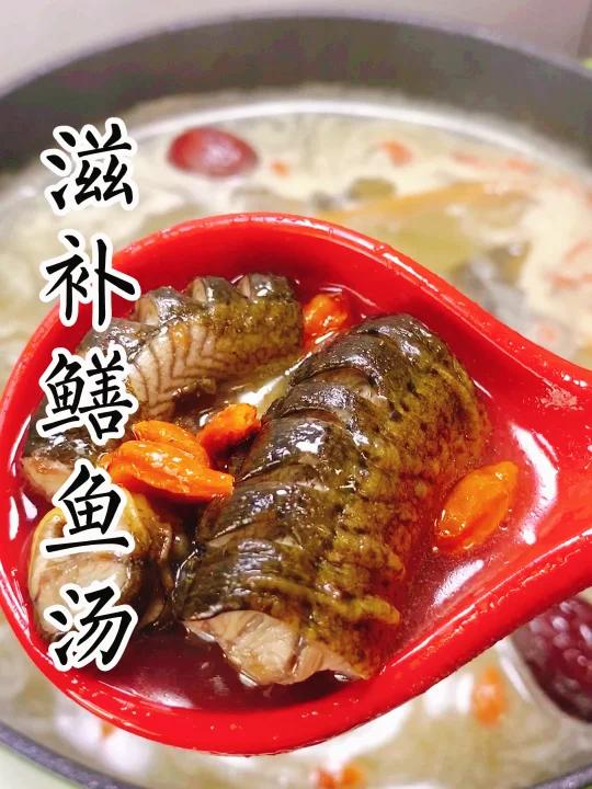 滋补鳝鱼汤