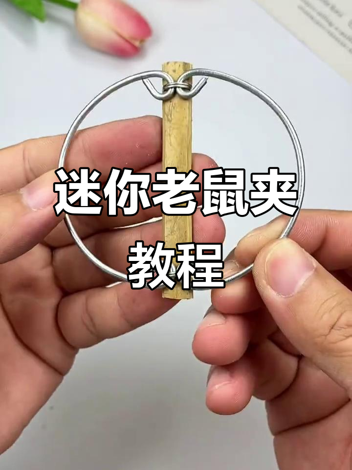 亲子手工:迷你老鼠夹制作,家长陪同更有趣