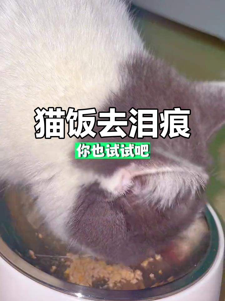 猫咪泪痕困扰?试试这款降火鸭肉饭,轻松解决!
