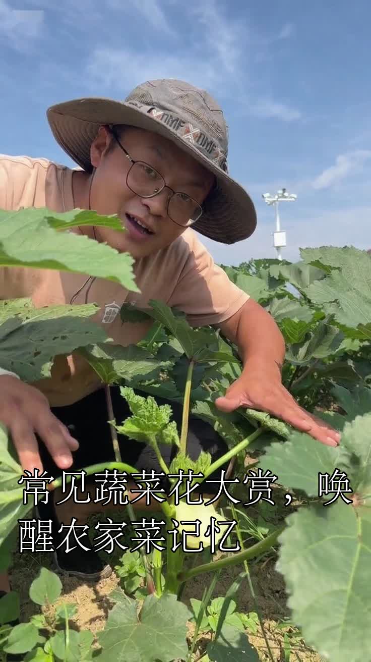 常见蔬菜花大赏，唤醒农家菜记忆